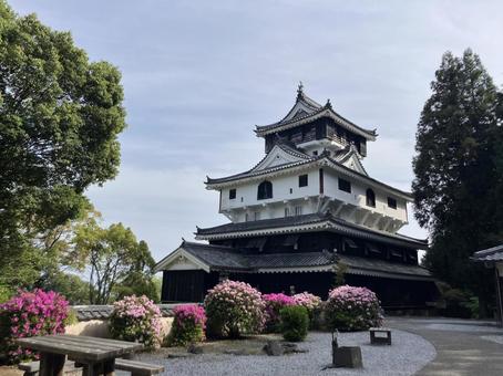 山口県・岩国城 山口県・岩国城 岩国城,城,山口県の写真素材