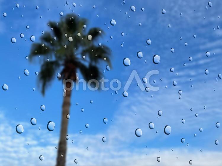 水滴のついた青空のポスター 空,青空,ヤシの木の写真素材