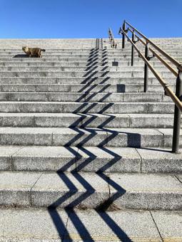 Photo, cat, stage, handrail, 