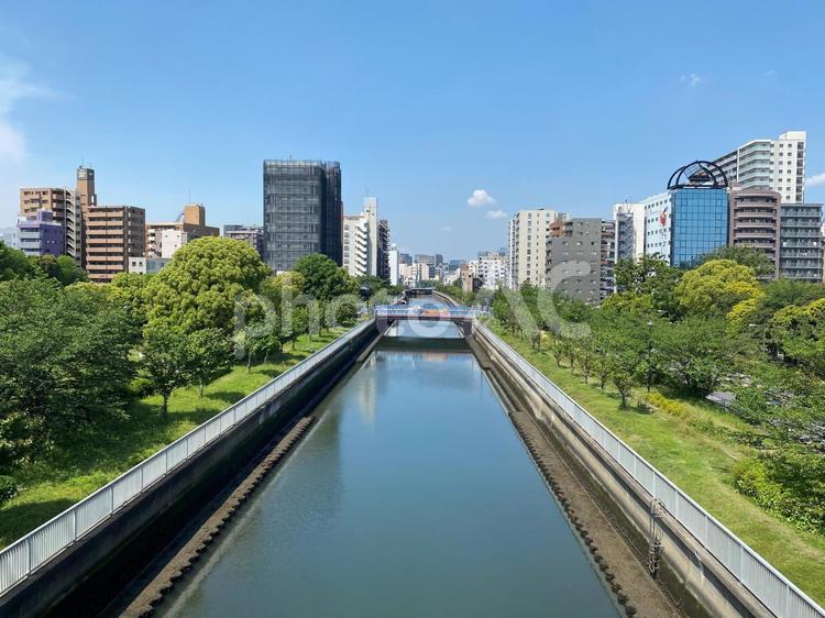 木場公園・仙台堀川の風景 川,景色,風景の写真素材