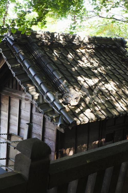 西日暮里の神社 神社,境内,木漏れ日の写真素材