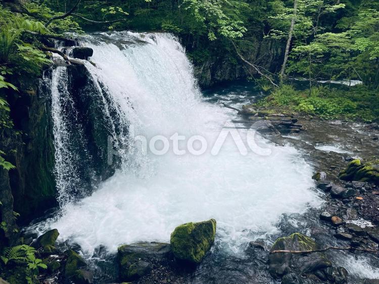 銚子大滝 青森県,十和田市,奥入瀬渓流の写真素材