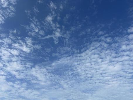 晴天2025秋 空,天気,晴天の写真素材