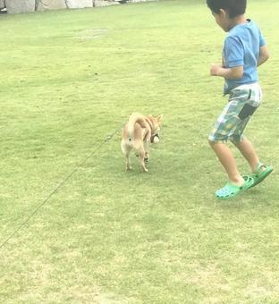 公園で遊ぶ子供と犬 公園で遊ぶ子供と犬の写真