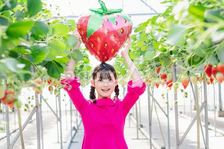 いちごの風船を持つ子供 いちご,風船,子供の写真素材