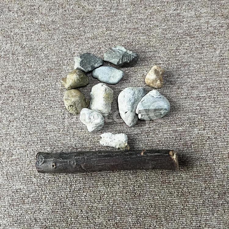石ころと木の棒 石,石ころ,木の写真素材