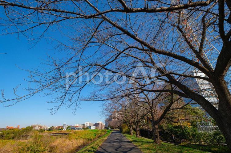 ［街角スナップ］冬の河川敷 河川敷,川堤,堤の写真素材