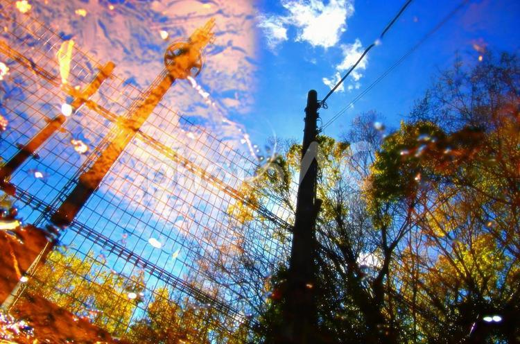 ドラマチックな水たまりの風景 水たまり,水鏡,電柱の写真素材