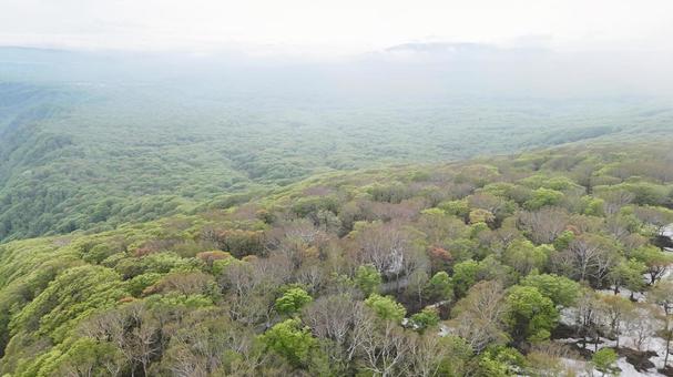 Photo, mountain, natural, woods, 