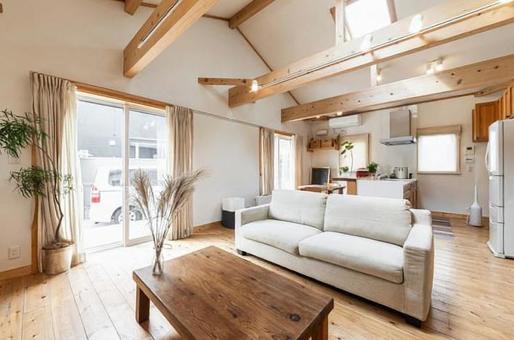 Living room in a house with impressive wood and skylights, JPG Living room in a house with impressive wood and skylights, घर, रियल एस्टेट, जीवित, JPG