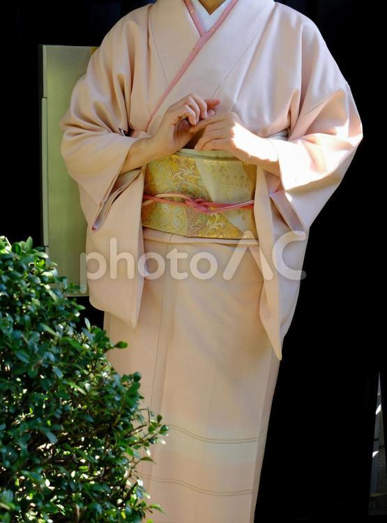着物の女性（正月）２ 女性,着物,和服の写真素材