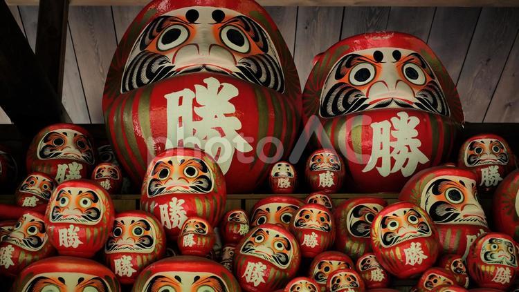 勝尾寺のだるま　０４ 勝尾寺,だるま,ダルマの写真素材