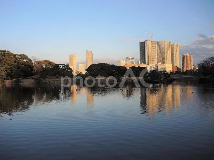 浜離宮からの景色 浜離宮,庭園,池の写真素材