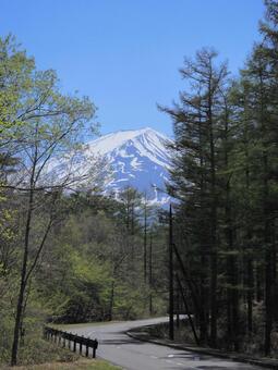 富士山への車道 富士山,山,道の写真素材
