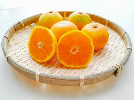 みかん2 みかん,柑橘,果物の写真素材