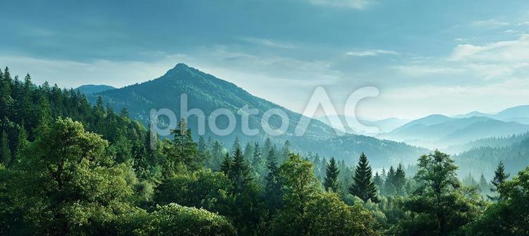 朝霧に包まれた広大な緑の森林と山々 森林,森,木々の写真素材