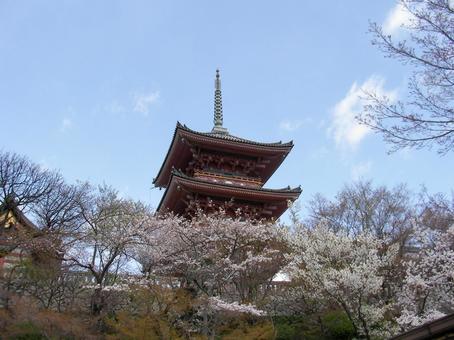 京都 清水寺 京都 清水寺の写真