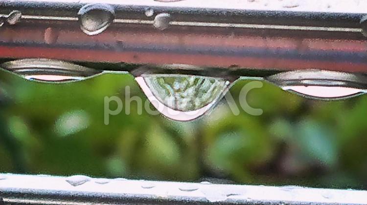 つらなった雨のしずく 雨,しずく,雨粒の写真素材