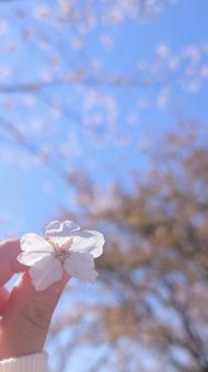 はるみ〜っけた！！！の写真