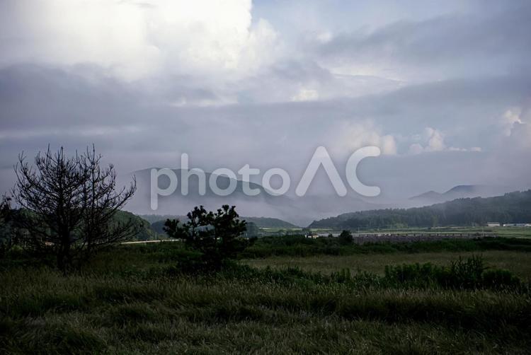 ＜五島の風景＞梅雨で霧の休耕地の風景 霧,畑,農地の写真素材