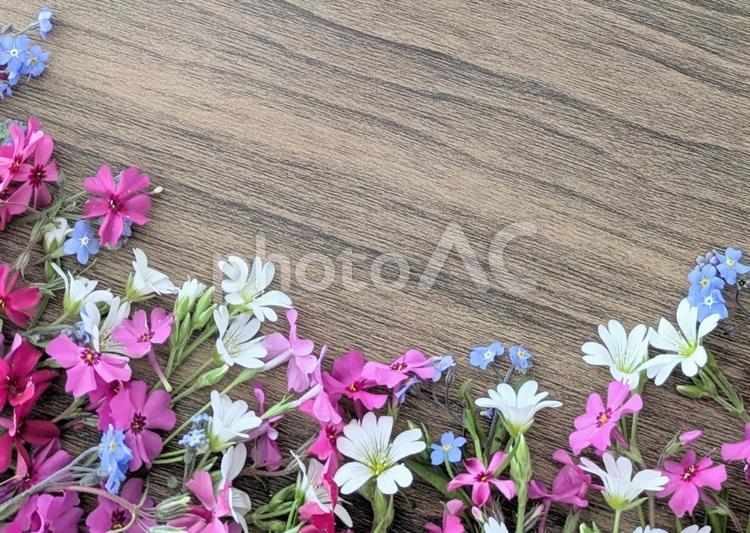 木目背景に花のフレーム 木目,背景,花の写真素材