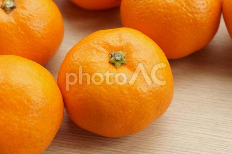 たくさんの完熟みかん 柑橘類,みかん,複数の写真素材