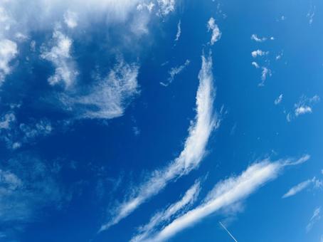 美しい青空　コピースペース 空,青空,曇りの写真素材