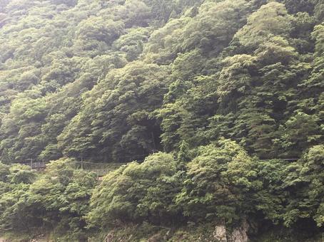 山 山の写真