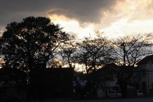 秋 秋,秋空の夕暮れ,西空の反射雲の写真素材