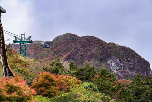雲仙の紅葉　妙見岳 紅葉,色づき,自然の写真素材