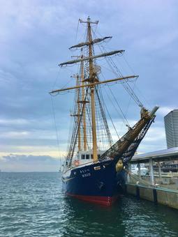 帆船みらいへ 帆船,みらいへ,船の写真素材