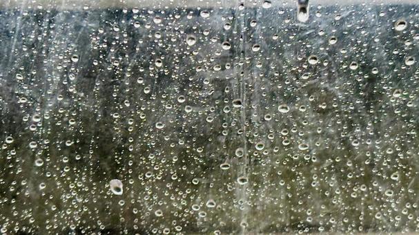 美しい雨粒 雨粒,水滴,雨の写真素材