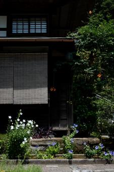 ［神奈川県鎌倉市］海蔵寺｜花の寺 鎌倉,海蔵寺,花の寺の写真素材