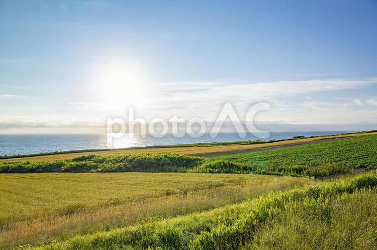 田舎の風景 風景,自然,空の写真素材