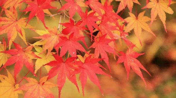 紅葉 水彩画風(画像デフォルメ) 紅葉 水彩画風(画像デフォルメ) 紅葉,秋,もみじの写真素材