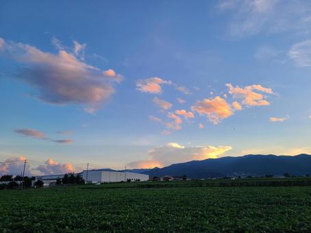 夏空 夏空の写真