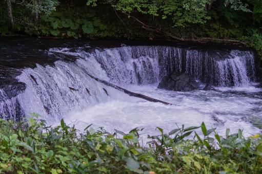 Photo, cherry salmon, sakura falls, waterfall, 