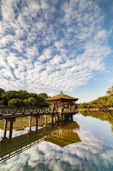浮見堂 浮見堂,奈良公園,奈良の写真素材