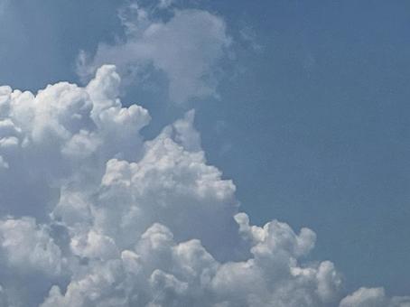 空の雲 空の雲の写真