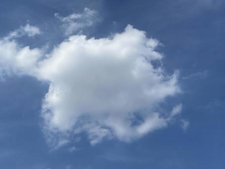 6月の西新宿の浮雲 2025/6/20 6月の西新宿の浮雲 2025/6/20の写真
