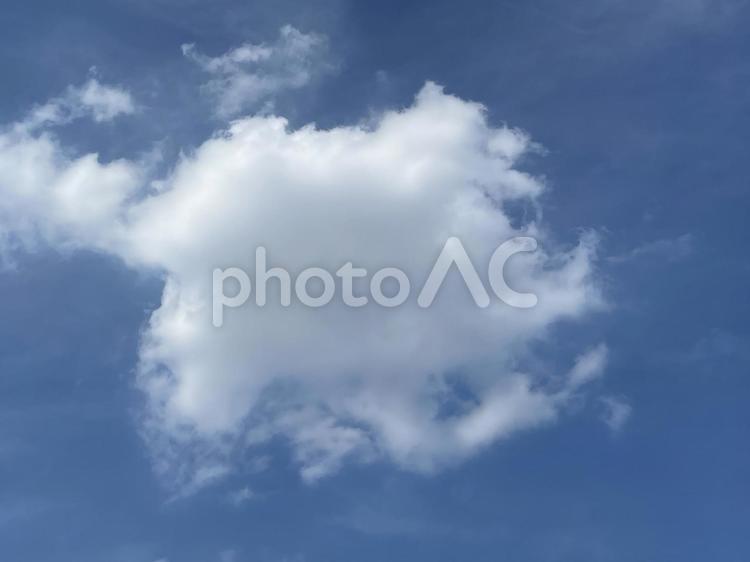 6月の西新宿の浮雲 2025/6/20 浮雲,晴天,晴れの写真素材