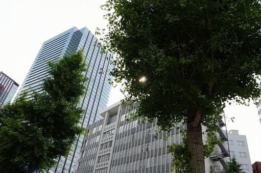 Photo, building, building group, townscape, 