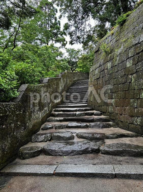 雨の仙巌園（庭園の階段） 雨の仙巌園（庭園の階段）,石垣,庭園の写真素材