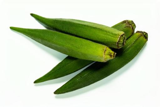 夏野菜のオクラ 夏野菜のオクラ オクラ,夏野菜,秋葵の写真素材