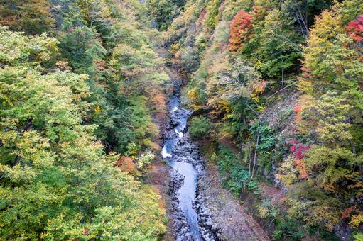 中津川渓谷の紅葉 中津川渓谷,紅葉,秋の写真素材