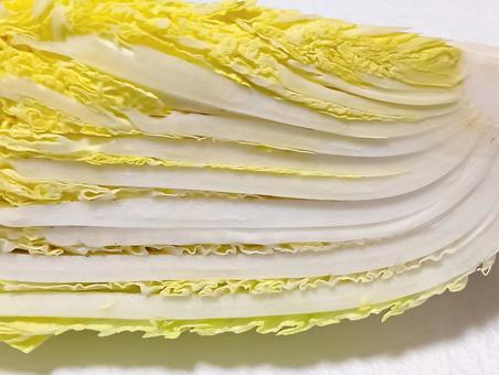 白菜 白菜,野菜,食材の写真素材