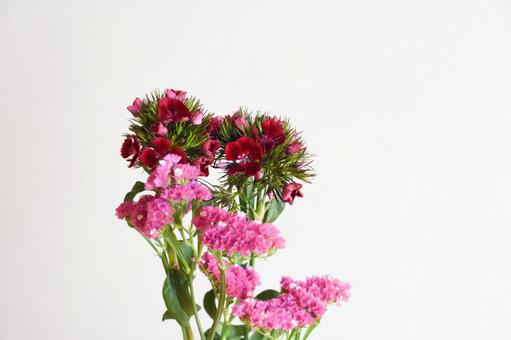 Photo, nagisa, nadesico, statis, 