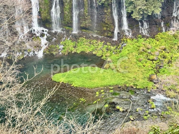 白糸の滝　静岡県　音止の滝 白糸の滝,白糸ノ滝,静岡県の写真素材