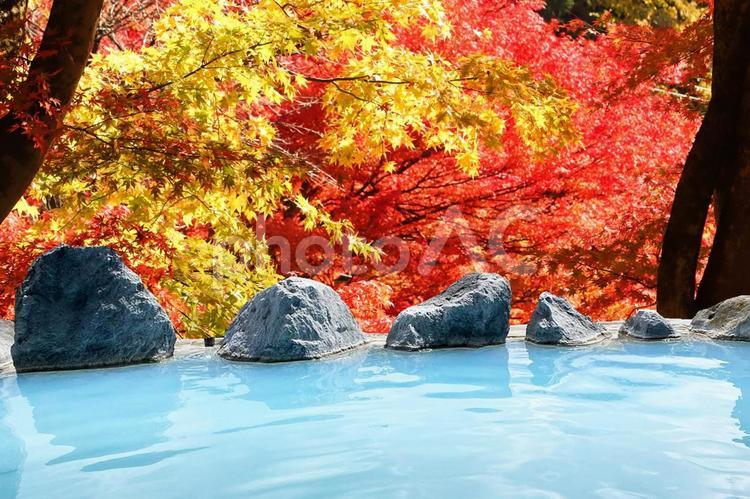 紅葉と温泉のイメージ 温泉,露天風呂,旅の写真素材