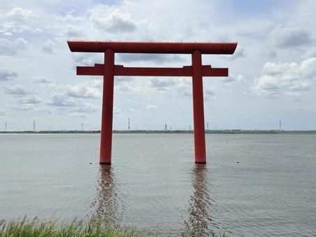 鹿島神宮　一の鳥居 鹿島神宮,神社,茨城県の写真素材
